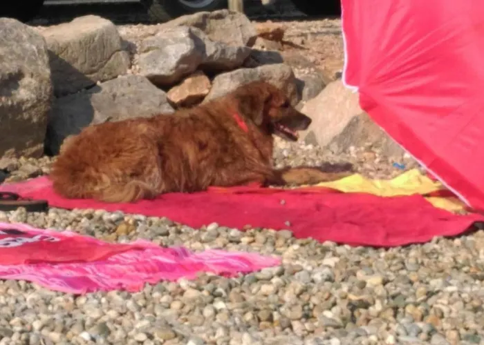 Mit Blick Auf Wasser By Interhome Rijeka